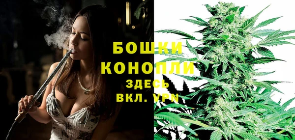 ECSTASY Абаза