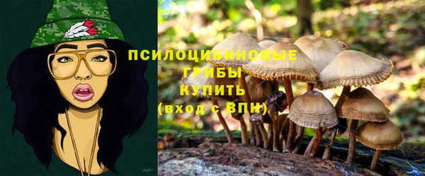 mix Покачи