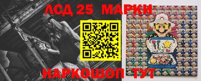 гидра Новодвинск