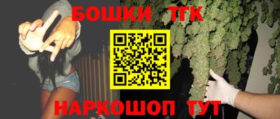 гидра Новодвинск