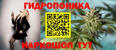 крисы Новозыбков