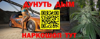 гидра Новодвинск