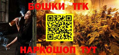 гидра Новодвинск